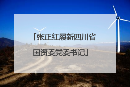 张正红履新四川省国资委党委书记