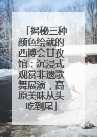 揭秘三种颜色绘就的西博会甘孜馆：沉浸式观赏非遗歌舞展演，高原美味从头吃到尾