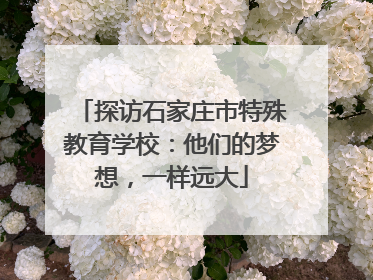 探访石家庄市特殊教育学校：他们的梦想，一样远大