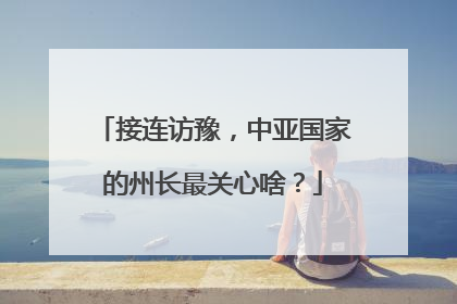 接连访豫，中亚国家的州长最关心啥？