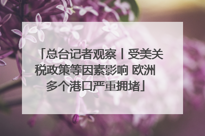 总台记者观察丨受美关税政策等因素影响 欧洲多个港口严重拥堵