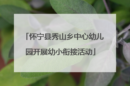 怀宁县秀山乡中心幼儿园开展幼小衔接活动