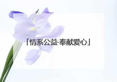 情系公益·奉献爱心