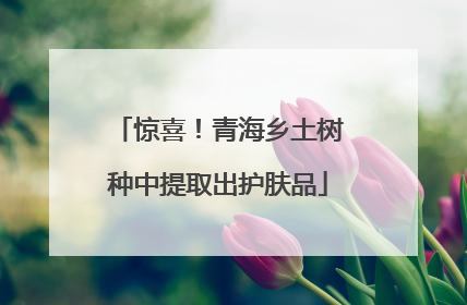 惊喜！青海乡土树种中提取出护肤品