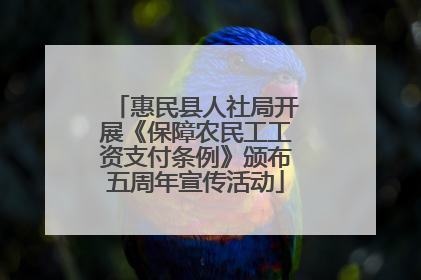惠民县人社局开展《保障农民工工资支付条例》颁布五周年宣传活动