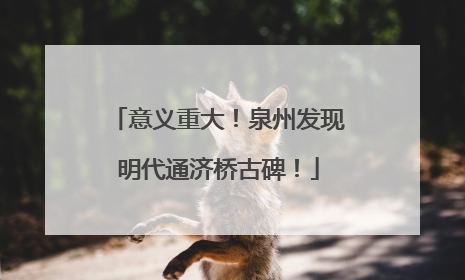 意义重大！泉州发现明代通济桥古碑！