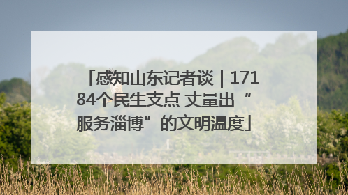 感知山东记者谈｜17184个民生支点 丈量出“服务淄博”的文明温度