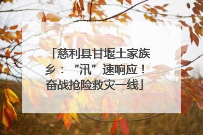 慈利县甘堰土家族乡：“汛”速响应！奋战抢险救灾一线
