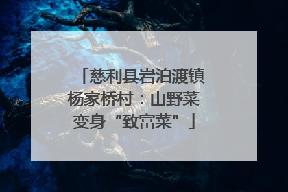 慈利县岩泊渡镇杨家桥村：山野菜变身“致富菜”