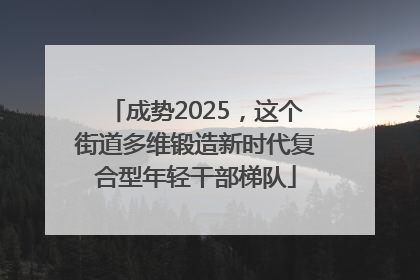 成势2025，这个街道多维锻造新时代复合型年轻干部梯队