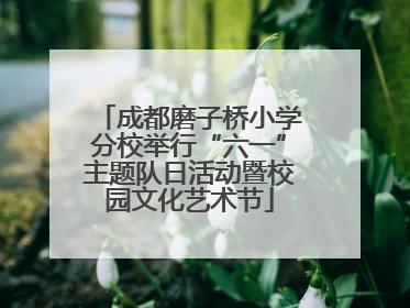 成都磨子桥小学分校举行“六一”主题队日活动暨校园文化艺术节