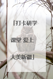 打卡研学课堂 爱上大美新疆