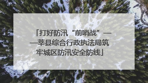 打好防汛“前哨战”——莘县综合行政执法局筑牢城区防汛安全防线