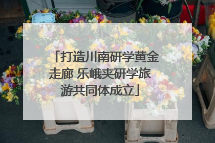 打造川南研学黄金走廊 乐峨夹研学旅游共同体成立