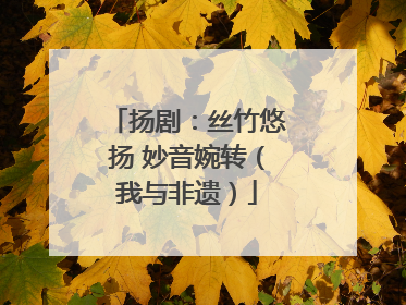 扬剧：丝竹悠扬 妙音婉转（我与非遗）