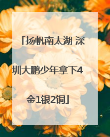 扬帆南太湖 深圳大鹏少年拿下4金1银2铜