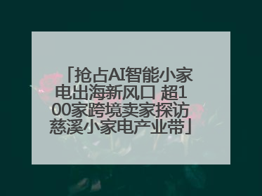 抢占AI智能小家电出海新风口 超100家跨境卖家探访慈溪小家电产业带