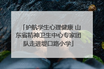 护航学生心理健康 山东省精神卫生中心专家团队走进堤口路小学