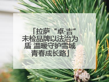 拉萨“卓·吉”未检品牌以法治为盾 温暖守护雪域青春成长路
