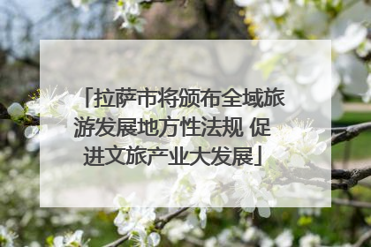 拉萨市将颁布全域旅游发展地方性法规 促进文旅产业大发展