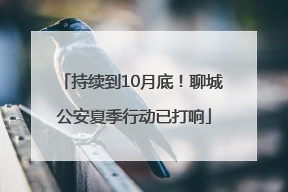 持续到10月底！聊城公安夏季行动已打响