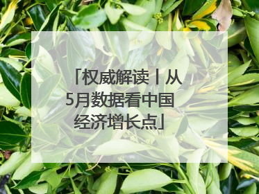 权威解读丨从5月数据看中国经济增长点