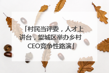 村民当评委，人才上讲台，望城区举办乡村CEO竞争性路演