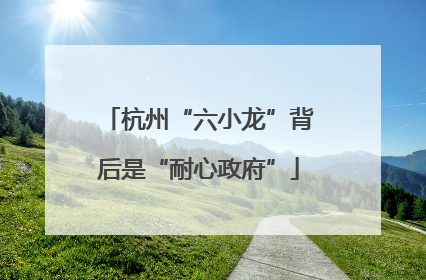 杭州“六小龙”背后是“耐心政府”