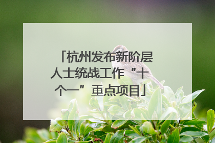 杭州发布新阶层人士统战工作“十个一”重点项目