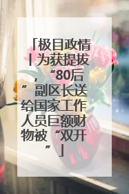 极目政情丨为获提拔，“80后”副区长送给国家工作人员巨额财物被“双开”