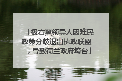 极右翼领导人因难民政策分歧退出执政联盟，导致荷兰政府垮台