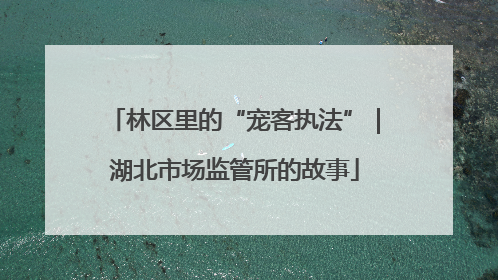 林区里的“宠客执法”｜湖北市场监管所的故事