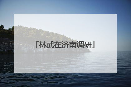 林武在济南调研