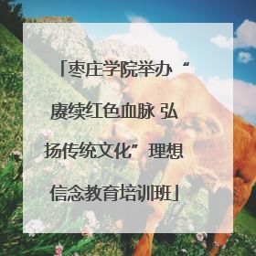枣庄学院举办“赓续红色血脉 弘扬传统文化”理想信念教育培训班