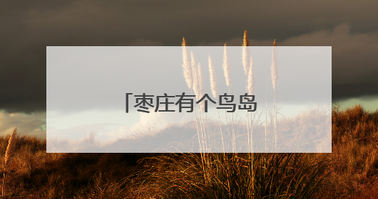 枣庄有个鸟岛，白鹭成群！