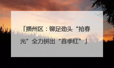 播州区：铆足劲头“抢春光”全力拼出“首季红”