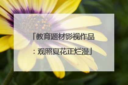 教育题材影视作品：观照夏花正烂漫