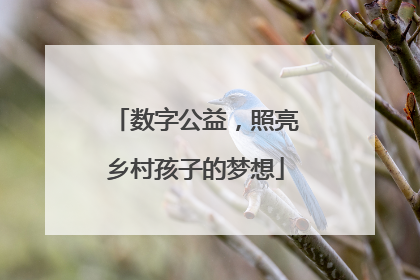 数字公益，照亮乡村孩子的梦想