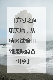 方寸之间见天地：从特区试验田到提振消费引擎