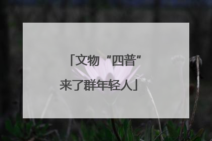 文物“四普”来了群年轻人