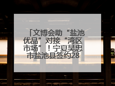 文博会助“盐池优品”对接“湾区市场”！宁夏吴忠市盐池县签约28.44亿元
