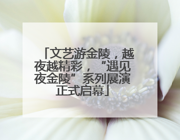 文艺游金陵，越夜越精彩，“遇见夜金陵”系列展演正式启幕