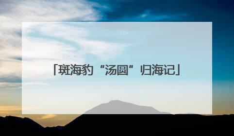 斑海豹“汤圆”归海记