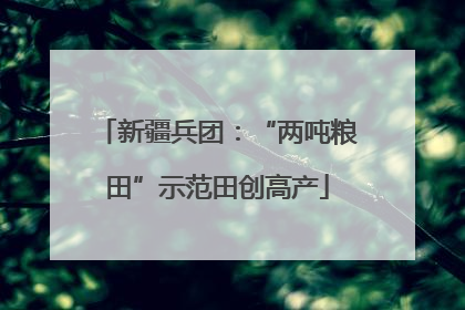 新疆兵团：“两吨粮田”示范田创高产