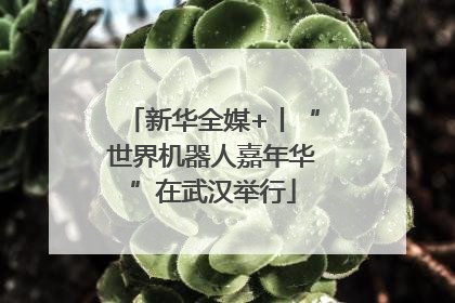 新华全媒+丨“世界机器人嘉年华”在武汉举行
