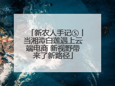 新农人手记⑤丨当湘潭白莲遇上云端电商 新视野带来了新路径