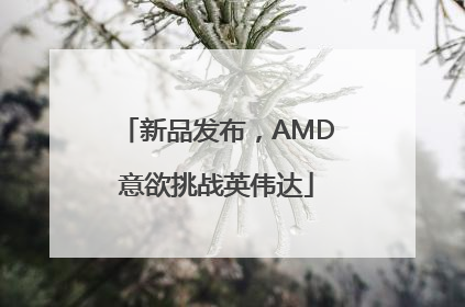 新品发布，AMD意欲挑战英伟达