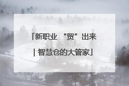 新职业 “贸”出来｜智慧仓的大管家