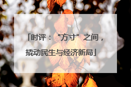 时评：“方寸”之间，撬动民生与经济新局