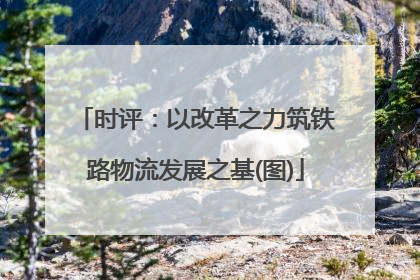 时评：以改革之力筑铁路物流发展之基(图)